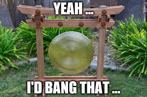 Bang a Gong ... Get it On | YEAH ... I'D BANG THAT ... | image tagged in gong,sex | made w/ Imgflip meme maker