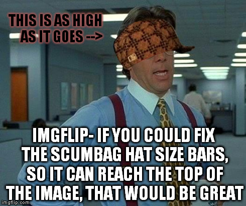 ImgFlip, A Request | THIS IS AS HIGH     AS IT GOES --> IMGFLIP- IF YOU COULD FIX THE SCUMBAG HAT SIZE BARS, SO IT CAN REACH THE TOP OF THE IMAGE, THAT WOULD BE  | image tagged in memes,that would be great,scumbag | made w/ Imgflip meme maker