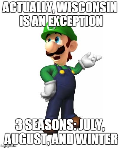 Logic Luigi | ACTUALLY, WISCONSIN IS AN EXCEPTION 3 SEASONS: JULY, AUGUST, AND WINTER | image tagged in logic luigi | made w/ Imgflip meme maker