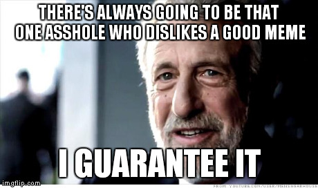 I Guarantee It | THERE'S ALWAYS GOING TO BE THAT ONE ASSHOLE WHO DISLIKES A GOOD MEME I GUARANTEE IT | image tagged in memes,i guarantee it | made w/ Imgflip meme maker