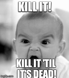 Angry Baby | KILL IT! KILL IT 'TIL IT'S DEAD! | image tagged in memes,angry baby | made w/ Imgflip meme maker
