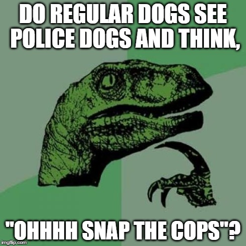 Philosoraptor | DO REGULAR DOGS SEE POLICE DOGS AND THINK, "OHHHH SNAP THE COPS"? | image tagged in memes,philosoraptor | made w/ Imgflip meme maker
