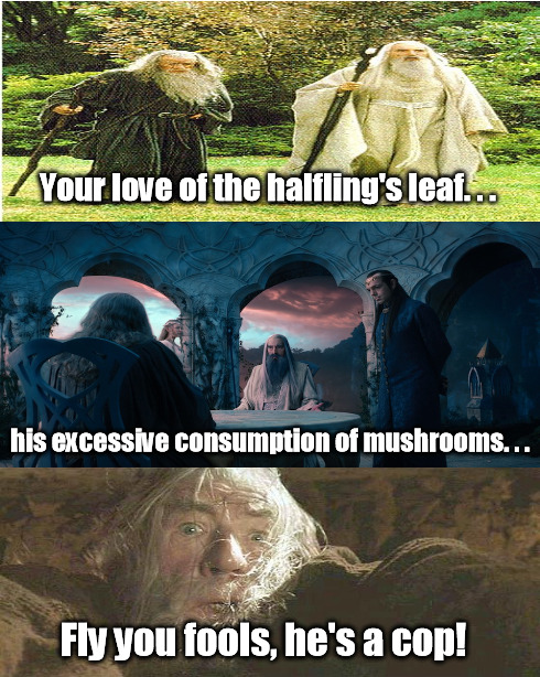 Gandalf the Paranoid | Your love of the halfling's leaf. . . his excessive consumption of mushrooms. . . Fly you fools, he's a cop! | image tagged in memes,gandalf,saruman,the lord of the rings,lotr | made w/ Imgflip meme maker