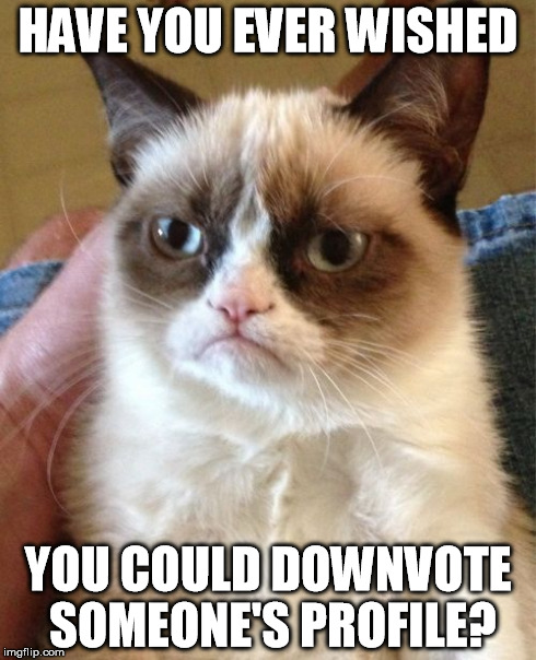 Grumpy Cat | HAVE YOU EVER WISHED YOU COULD DOWNVOTE SOMEONE'S PROFILE? | image tagged in memes,grumpy cat | made w/ Imgflip meme maker