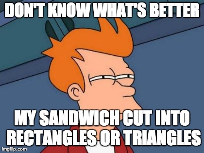 Futurama Fry Meme | DON'T KNOW WHAT'S BETTER MY SANDWICH CUT INTO RECTANGLES OR TRIANGLES | image tagged in memes,futurama fry | made w/ Imgflip meme maker