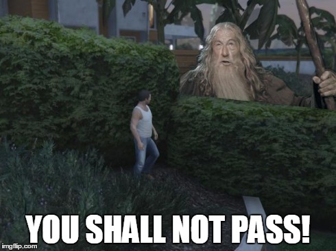 Damn those bushes... | YOU SHALL NOT PASS! | image tagged in gandalf you shall not pass,gta 5,meme,bushes,micheal,sfw | made w/ Imgflip meme maker