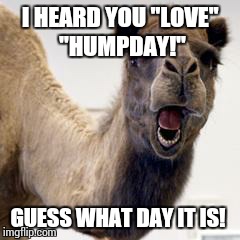 Camel | I HEARD YOU "LOVE" "HUMPDAY!" GUESS WHAT DAY IT IS! | image tagged in camel | made w/ Imgflip meme maker