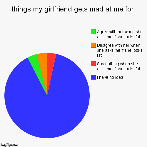 why she is mad | image tagged in funny,pie charts,girlfriend,relationships | made w/ Imgflip chart maker
