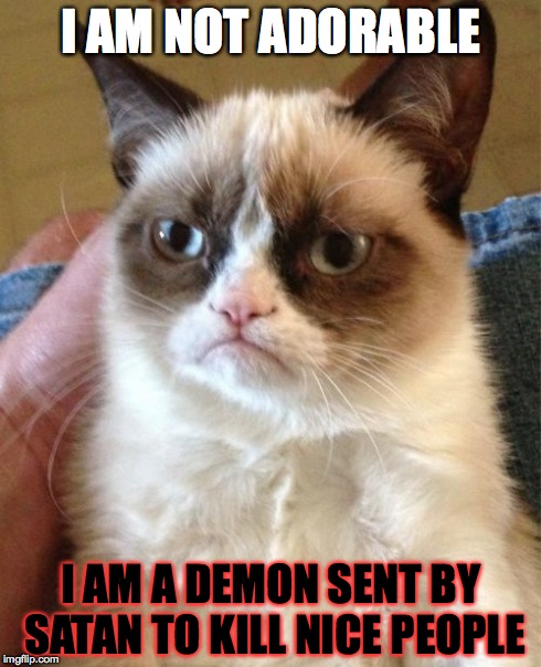 Grumpy Cat | I AM NOT ADORABLE I AM A DEMON SENT BY SATAN TO KILL NICE PEOPLE | image tagged in memes,grumpy cat | made w/ Imgflip meme maker