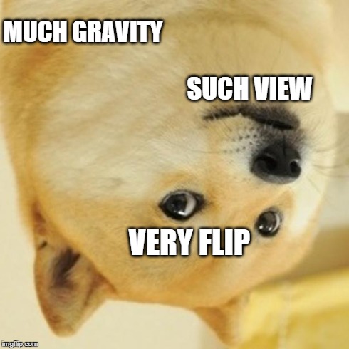 Doge | MUCH GRAVITY SUCH VIEW VERY FLIP | image tagged in memes,doge | made w/ Imgflip meme maker