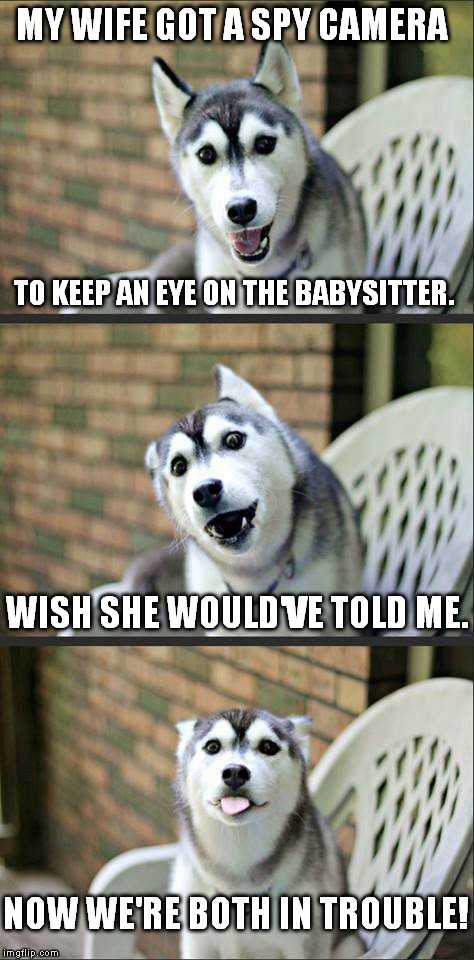 I was just helping her, um... | MY WIFE GOT A SPY CAMERA TO KEEP AN EYE ON THE BABYSITTER. WISH SHE WOULD'VE TOLD ME. NOW WE'RE BOTH IN TROUBLE! | image tagged in memes,jokes,husky | made w/ Imgflip meme maker