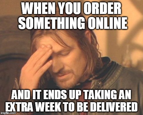 Frustrated Boromir Meme | WHEN YOU ORDER SOMETHING ONLINE AND IT ENDS UP TAKING AN EXTRA WEEK TO BE DELIVERED | image tagged in memes,frustrated boromir | made w/ Imgflip meme maker