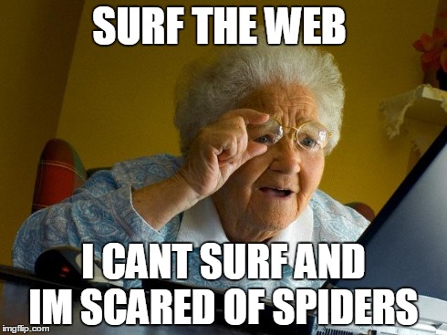 Grandma Finds The Internet Meme | SURF THE WEB I CANT SURF AND IM SCARED OF SPIDERS | image tagged in memes,grandma finds the internet | made w/ Imgflip meme maker