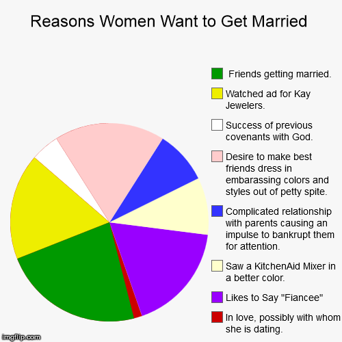 Reasons Women Want to Get Married | image tagged in funny,pie charts,wedding,marriage | made w/ Imgflip chart maker
