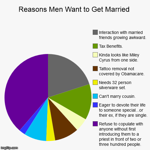 Reasons Men Want to Get Married | image tagged in funny,pie charts,marriage,wedding | made w/ Imgflip chart maker