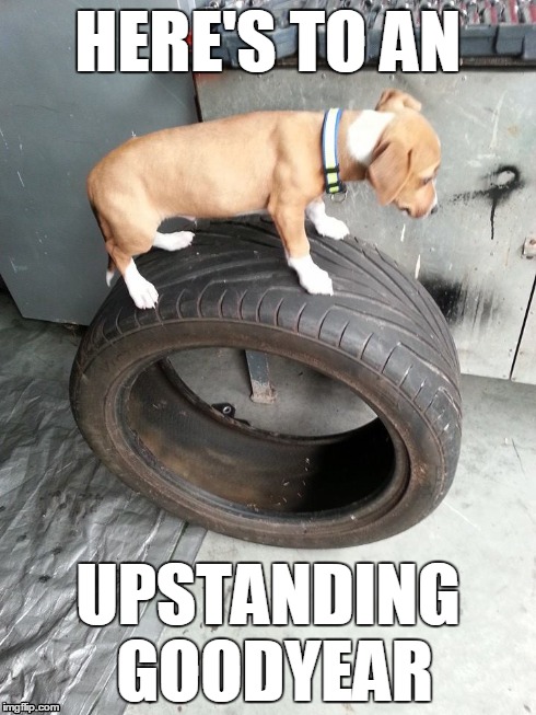 Upstanding Goodyear | HERE'S TO AN UPSTANDING GOODYEAR | image tagged in new years,puppy,fun | made w/ Imgflip meme maker