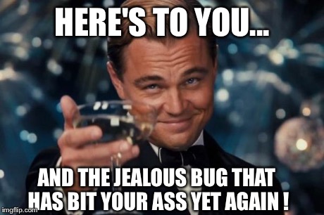 Leonardo Dicaprio Cheers Meme | HERE'S TO YOU... AND THE JEALOUS BUG THAT HAS BIT YOUR ASS YET AGAIN ! | image tagged in memes,leonardo dicaprio cheers | made w/ Imgflip meme maker
