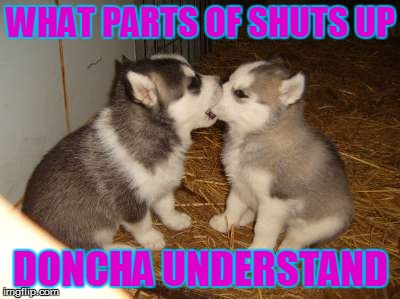 Cute Puppies | WHAT PARTS OF SHUTS UP DONCHA UNDERSTAND | image tagged in memes,cute puppies | made w/ Imgflip meme maker