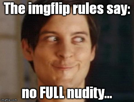 I think the imgflip rules need some editing... | The imgflip rules say: no FULL nudity... | image tagged in memes,spiderman peter parker | made w/ Imgflip meme maker