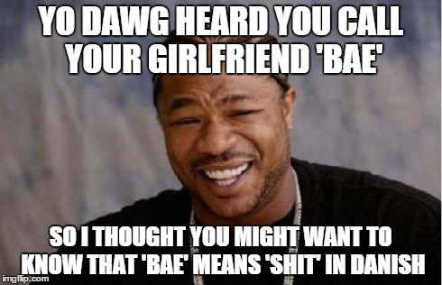 Really, look it up... | YO DAWG HEARD YOU CALL YOUR GIRLFRIEND 'BAE' SO I THOUGHT YOU MIGHT WANT TO KNOW THAT 'BAE' MEANS 'SHIT' IN DANISH | image tagged in memes,yo dawg heard you,funny,bae,shit,girlfriend | made w/ Imgflip meme maker