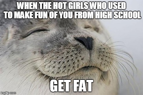 Satisfied Seal | WHEN THE HOT GIRLS WHO USED TO MAKE FUN OF YOU FROM HIGH SCHOOL GET FAT | image tagged in memes,satisfied seal,AdviceAnimals | made w/ Imgflip meme maker