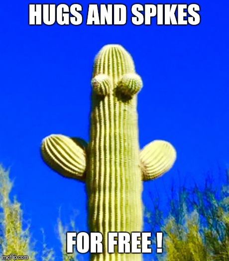 Huggy Cactus  | HUGS AND SPIKES FOR FREE ! | image tagged in huggy cactus | made w/ Imgflip meme maker