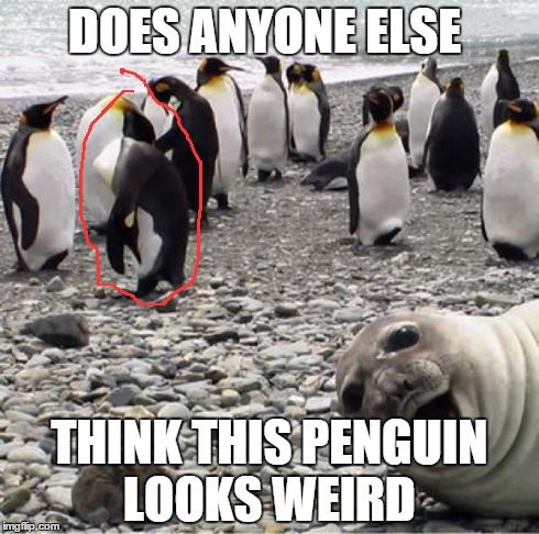 Photobomb | DOES ANYONE ELSE THINK THIS PENGUIN LOOKS WEIRD | image tagged in photobomb | made w/ Imgflip meme maker