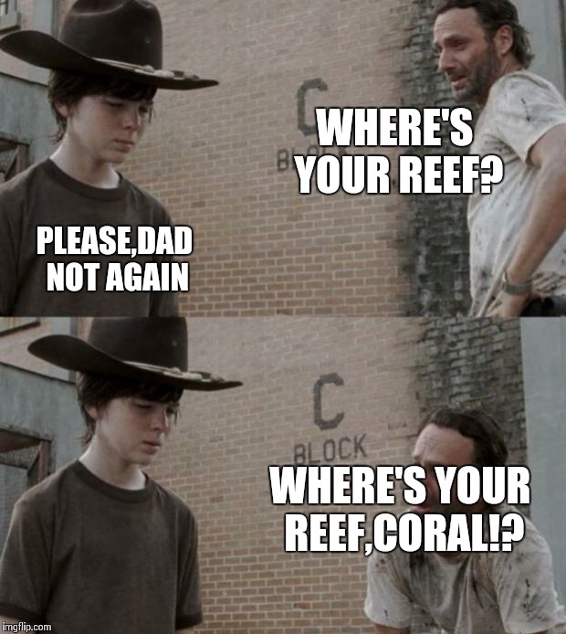 Rick and Carl Meme | WHERE'S YOUR REEF? PLEASE,DAD NOT AGAIN WHERE'S YOUR REEF,CORAL!? | image tagged in memes,rick and carl | made w/ Imgflip meme maker