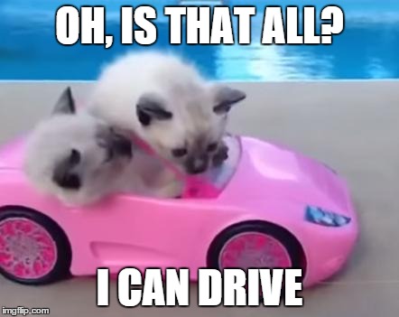 I Just Got My Licence Cat | OH, IS THAT ALL? I CAN DRIVE | image tagged in i just got my licence cat | made w/ Imgflip meme maker