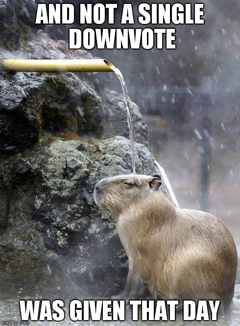 And Not A Single Fuck Was Given That Day Imgflip