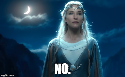 galadriel says no | NO. | image tagged in galadriel,lotr,the hobbit,lord of the rings,cate blanchett,elf | made w/ Imgflip meme maker