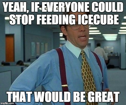 I challenge everyone to flat out IGNORE HIM! Everybody. Even if you have a good comeback. Stop feeding the troll! | YEAH, IF EVERYONE COULD STOP FEEDING ICECUBE THAT WOULD BE GREAT | image tagged in memes,that would be great,icecube,stfu,troll,stahp | made w/ Imgflip meme maker