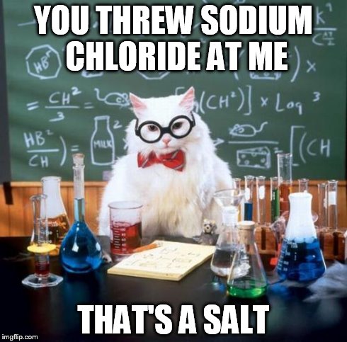 Chemistry Cat | YOU THREW SODIUM CHLORIDE AT ME THAT'S A SALT | image tagged in memes,chemistry cat | made w/ Imgflip meme maker