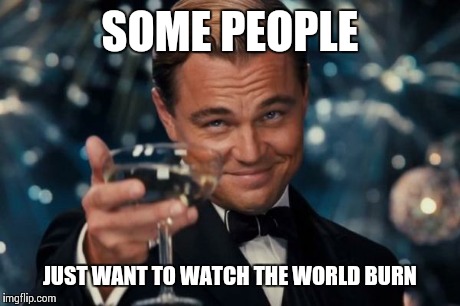 Leonardo Dicaprio Cheers Meme | SOME PEOPLE JUST WANT TO WATCH THE WORLD BURN | image tagged in memes,leonardo dicaprio cheers | made w/ Imgflip meme maker