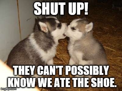 Cute Puppies | SHUT UP! THEY CAN'T POSSIBLY KNOW WE ATE THE SHOE. | image tagged in memes,cute puppies | made w/ Imgflip meme maker