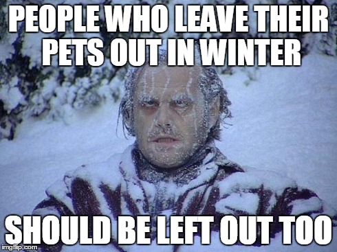 Jack Nicholson The Shining Snow | PEOPLE WHO LEAVE THEIR PETS OUT IN WINTER SHOULD BE LEFT OUT TOO | image tagged in memes,jack nicholson the shining snow | made w/ Imgflip meme maker