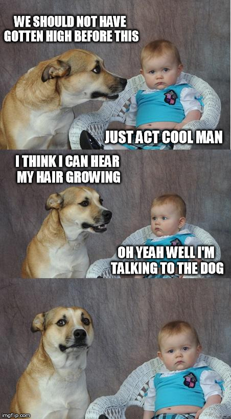 Bad joke dog | WE SHOULD NOT HAVE GOTTEN HIGH BEFORE THIS JUST ACT COOL MAN I THINK I CAN HEAR MY HAIR GROWING OH YEAH WELL I'M TALKING TO THE DOG | image tagged in bad joke dog | made w/ Imgflip meme maker