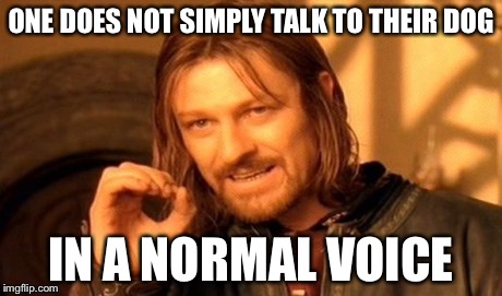 One Does Not Simply | ONE DOES NOT SIMPLY TALK TO THEIR DOG IN A NORMAL VOICE | image tagged in memes,one does not simply | made w/ Imgflip meme maker