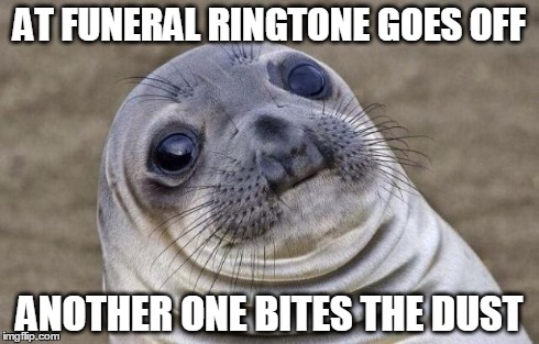 Awkward Moment Sealion | AT FUNERAL RINGTONE GOES OFF ANOTHER ONE BITES THE DUST | image tagged in memes,awkward moment sealion | made w/ Imgflip meme maker