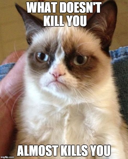 Grumpy Cat Meme | WHAT DOESN'T KILL YOU ALMOST KILLS YOU | image tagged in memes,grumpy cat | made w/ Imgflip meme maker