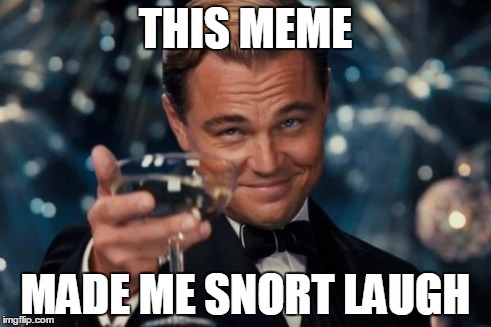 Leonardo Dicaprio Cheers Meme | THIS MEME MADE ME SNORT LAUGH | image tagged in memes,leonardo dicaprio cheers | made w/ Imgflip meme maker