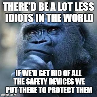 Thinking ape | THERE'D BE A LOT LESS IDIOTS IN THE WORLD IF WE'D GET RID OF ALL THE SAFETY DEVICES WE PUT THERE TO PROTECT THEM | image tagged in thinking ape | made w/ Imgflip meme maker