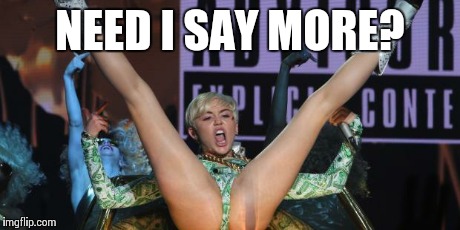THANKS MILEY | NEED I SAY MORE? | image tagged in thanks miley | made w/ Imgflip meme maker