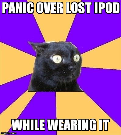 Lost Ipod Cat | PANIC OVER LOST IPOD WHILE WEARING IT | image tagged in anxiety cat | made w/ Imgflip meme maker