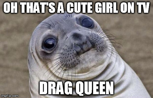 Awkward Moment Sealion | OH THAT'S A CUTE GIRL ON TV DRAG QUEEN | image tagged in memes,awkward moment sealion | made w/ Imgflip meme maker