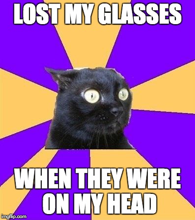 anxiety cat | LOST MY GLASSES WHEN THEY WERE ON MY HEAD | image tagged in anxiety cat | made w/ Imgflip meme maker