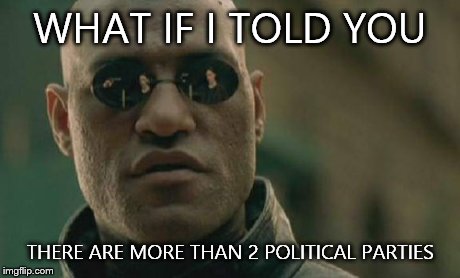 Matrix Morpheus | WHAT IF I TOLD YOU THERE ARE MORE THAN 2 POLITICAL PARTIES | image tagged in memes,matrix morpheus | made w/ Imgflip meme maker