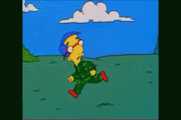 Gifs Gifs