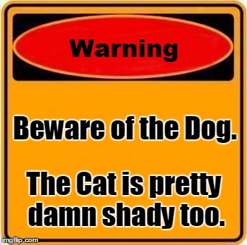 Beware | Beware of the Dog. The Cat is pretty damn shady too. | image tagged in memes,warning sign,cats,dogs,funny | made w/ Imgflip meme maker