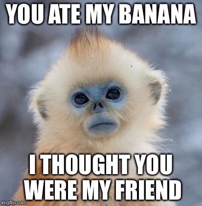YOU ATE MY BANANA I THOUGHT YOU WERE MY FRIEND | image tagged in easily offended eddie | made w/ Imgflip meme maker